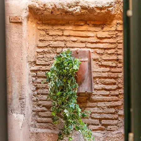 Loft Via Della Scala With Terrace Rom
