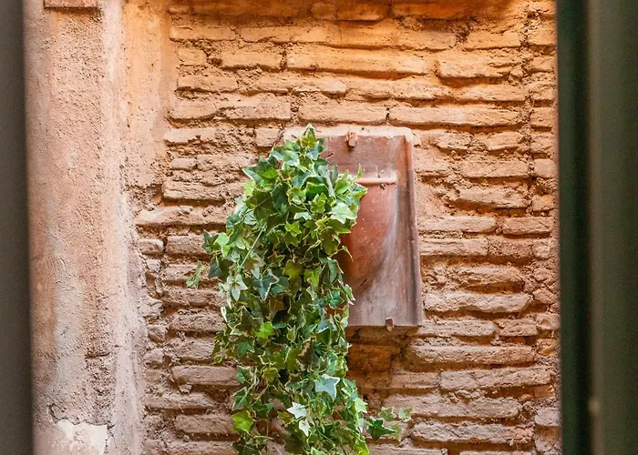 Loft Via Della Scala With Terrace 罗马